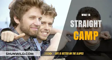 Exploring Straight Camp: A Journey into Modern Masculinity