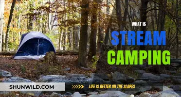 Exploring the Great Outdoors: A Beginner's Guide to Stream Camping
