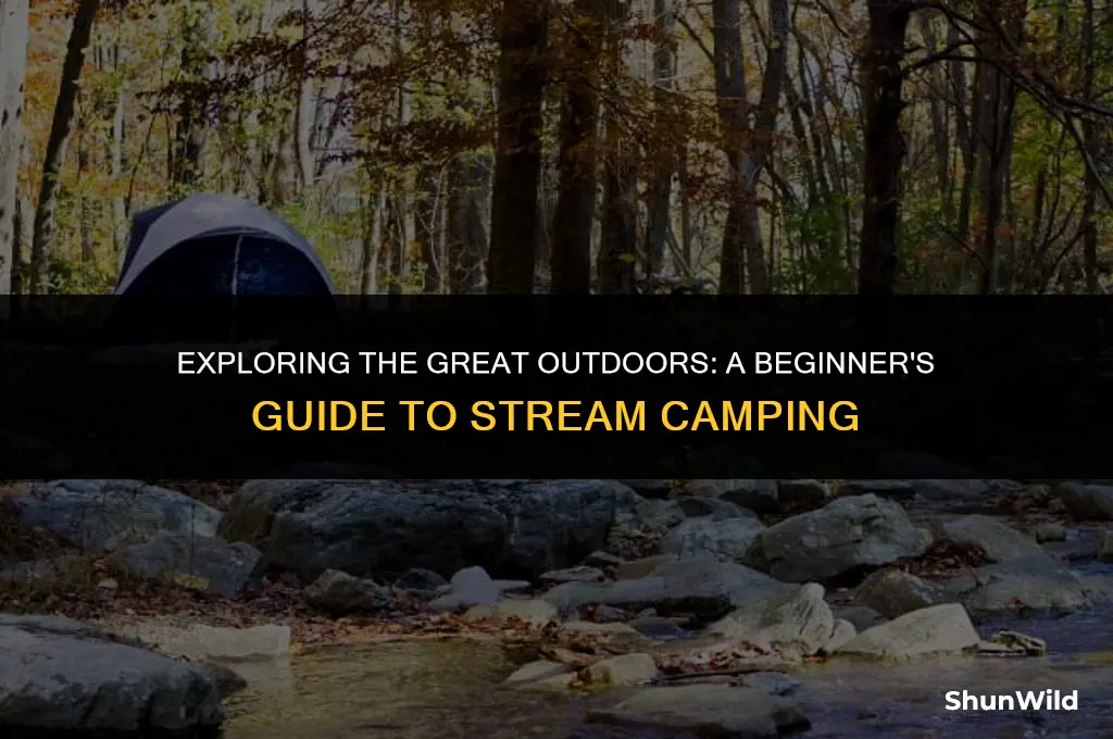what is stream camping