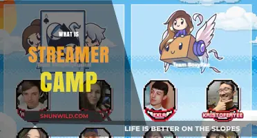 Exploring Streamer Camp: A Beginner's Guide to Live Streaming