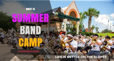 Exploring the World of Summer Band Camps: A Comprehensive Guide
