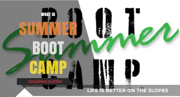 Summer Boot Camp Explained: Benefits, Activities, and What to Expect