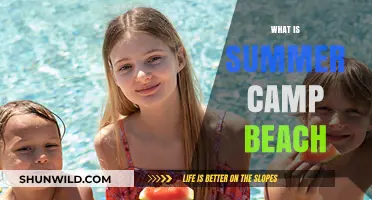 Sunny Shores and Adventure: The Ultimate Summer Camp Beach Experience