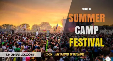 Exploring the Magic: What is a Summer Camp Festival?