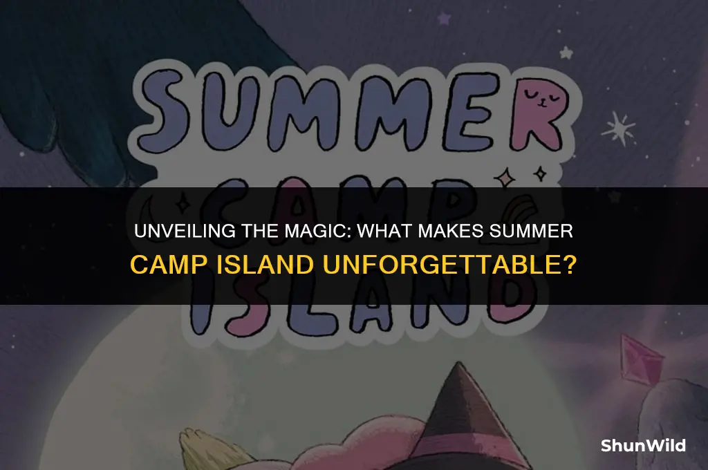 what is summer camp island