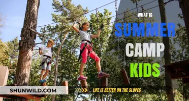 Unforgettable Adventures: Summer Camp Fun for Kids Aged 8-10