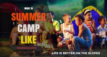 Exploring Summer Camp: Adventures, Friendships, and Unforgettable Memories Await