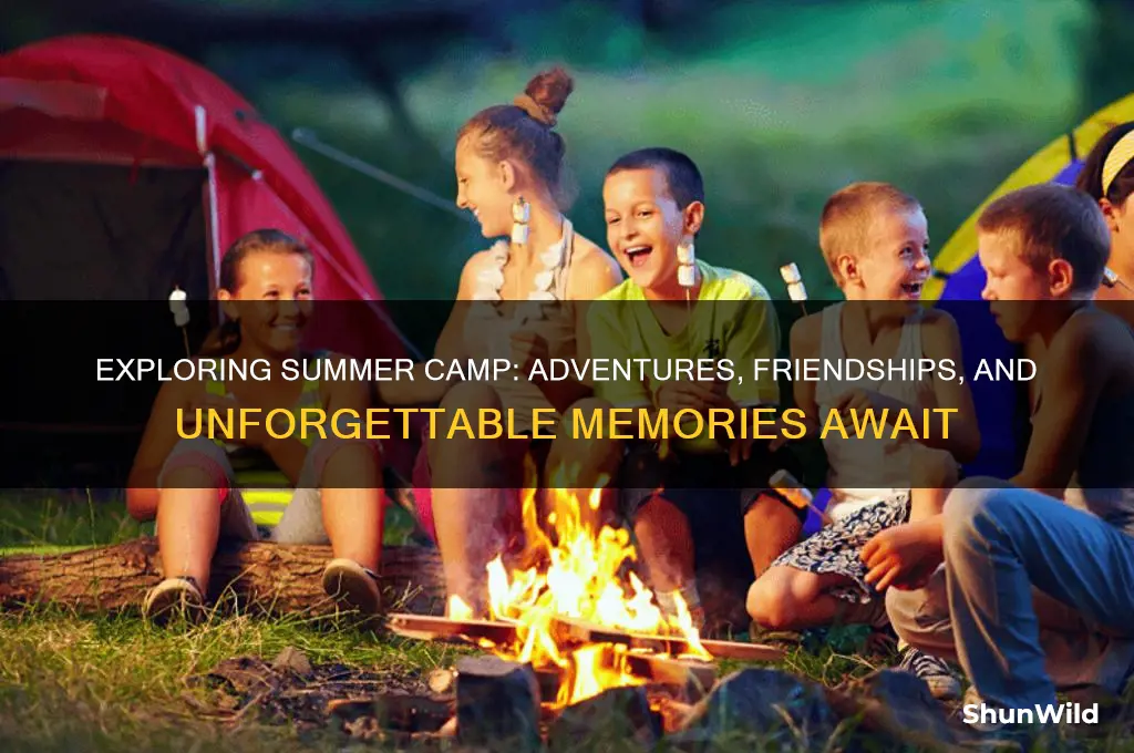 what is summer camp like