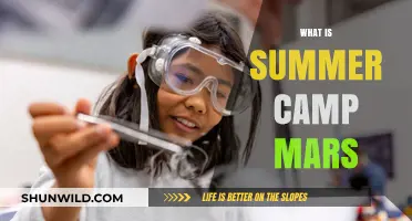 Exploring the Red Planet: A Journey to Summer Camp Mars