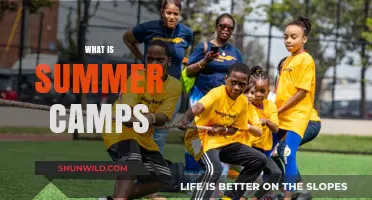 Exploring the Joys of Summer Camps: A Guide for Kids and Parents