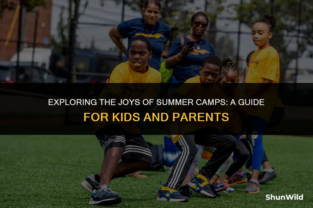 what is summer camps