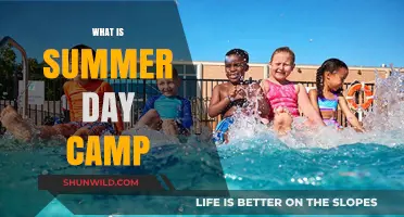 Exploring the Joys of Summer Day Camps for Kids