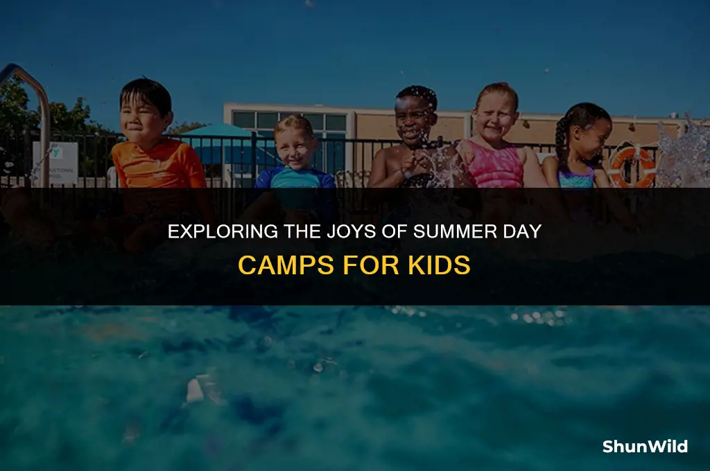 what is summer day camp
