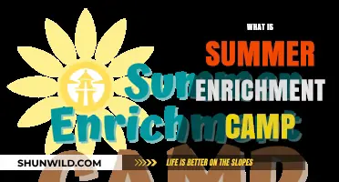 Exploring Summer Enrichment Camps: A Guide for Parents and Kids