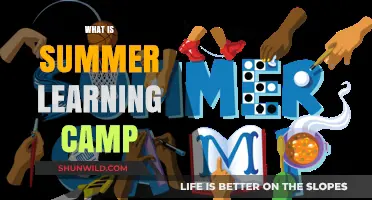 Unlocking Potential: The Power of Summer Learning Camps