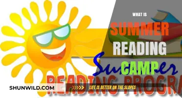 Unleashing Imagination: The Magic of Summer Reading Camps