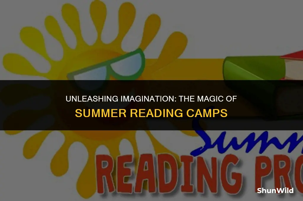 what is summer reading camp