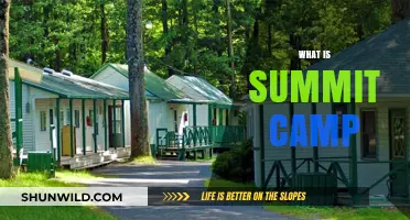 Exploring the Pinnacle: What is Summit Camp?