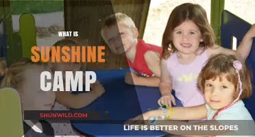 Discovering Joy and Adventure at Sunshine Camp