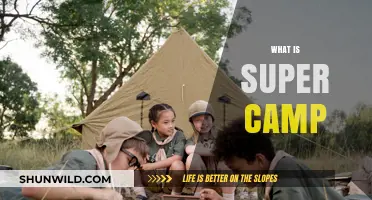 Unveiling the Magic: What Makes Super Camp Truly Unforgettable?