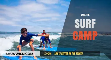 Ride the Waves: Discover the Ultimate Surf Camp Experience