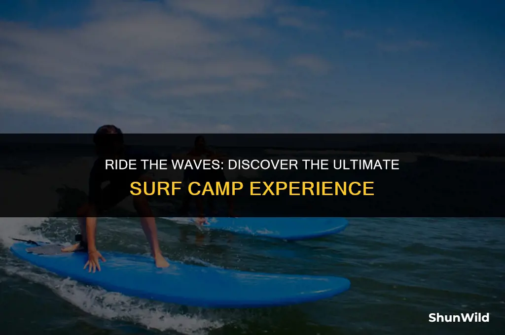 what is surf camp