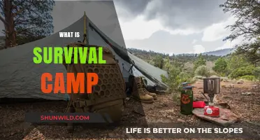 Exploring the Essentials of Survival Camp: A Beginner's Guide