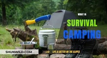 Embracing the Wild: A Beginner's Guide to Survival Camping
