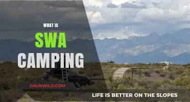 Exploring the Great Outdoors: A Beginner's Guide to SWA Camping