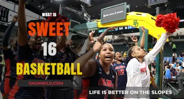 Sweet 16 Basketball: The Thrilling Road to the Elite Eight