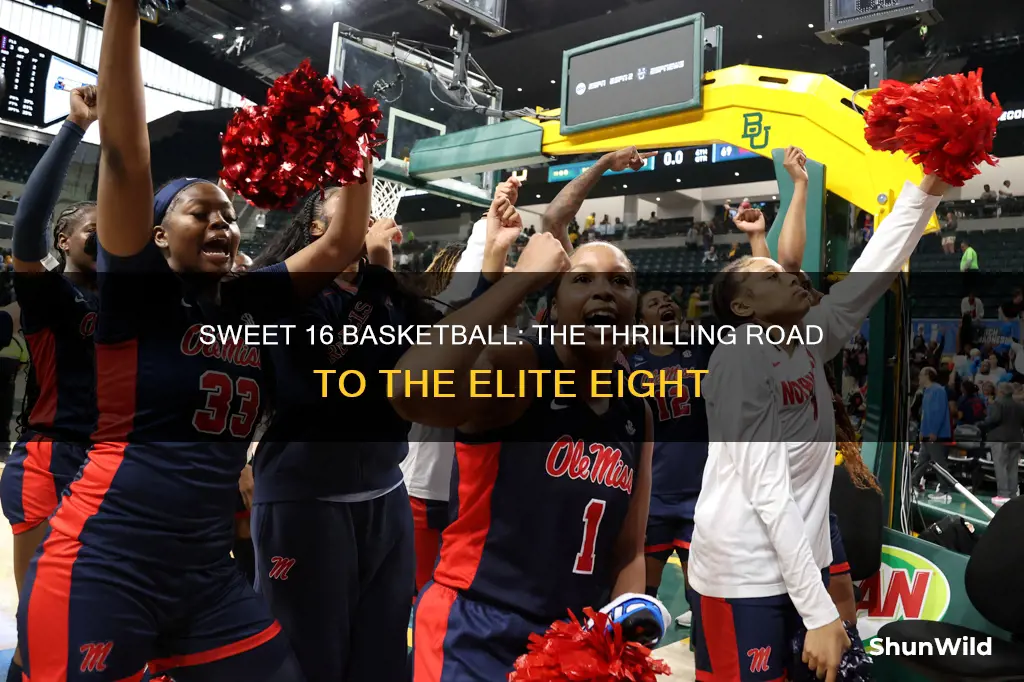 what is sweet 16 basketball