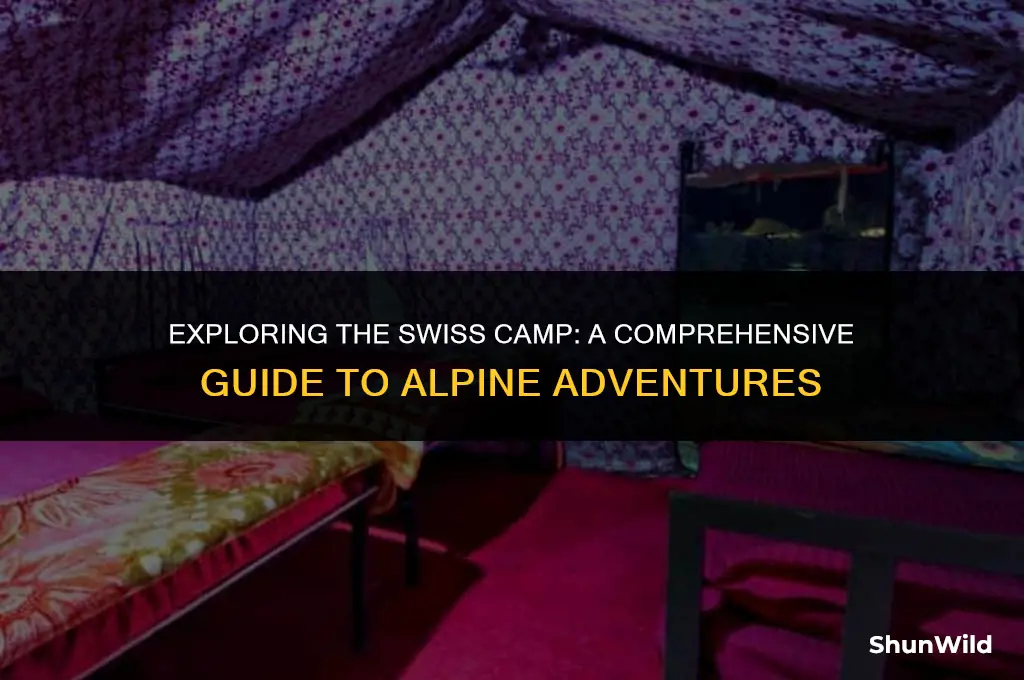 what is swiss camp