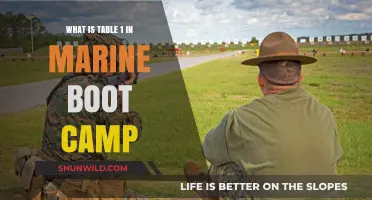 Understanding Table 1: A Key Component of Marine Boot Camp Training
