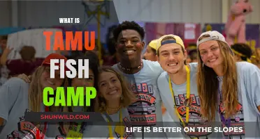 Exploring TAMU Fish Camp: A Comprehensive Guide to Your Questions