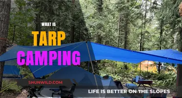 Exploring the Great Outdoors: A Beginner's Guide to Tarp Camping