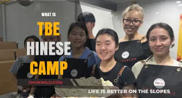 Exploring the Depths of Chinese Culinary Traditions: A Camp Experience