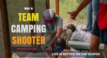 Exploring the Thrills: What is Team Camping Shooter?