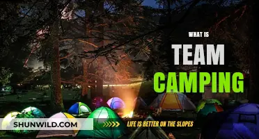 Exploring the Great Outdoors Together: What is Team Camping?