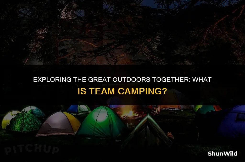 what is team camping