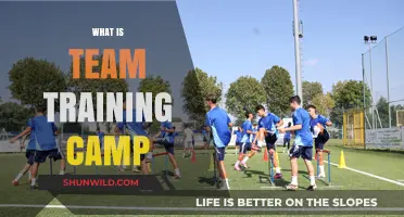 Unleashing Potential: The Power of Team Training Camps