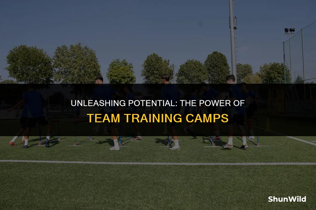 what is team training camp