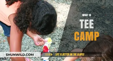 Exploring the Fun and Adventure of Tee Camp