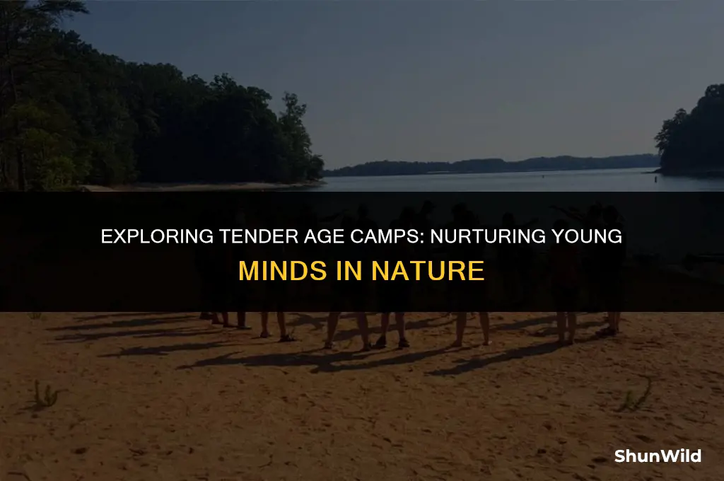 what is tender age camps