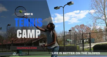 Exploring the Exciting World of Tennis Camps: A Comprehensive Guide