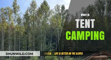 Exploring the Great Outdoors: A Beginner's Guide to Tent Camping