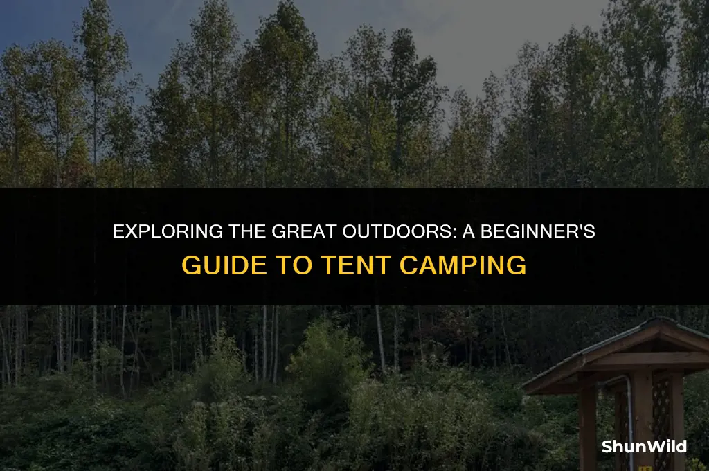 what is tent camping