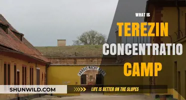 Terezin Concentration Camp: History, Horrors, and Legacy of Resilience