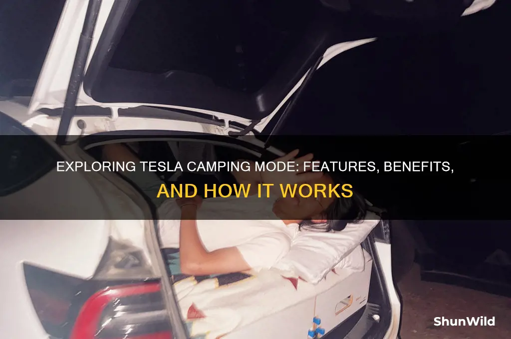 what is tesla camping mode