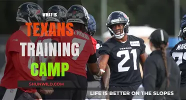 Exploring the Heart of Texan Football: Inside the Training Camp