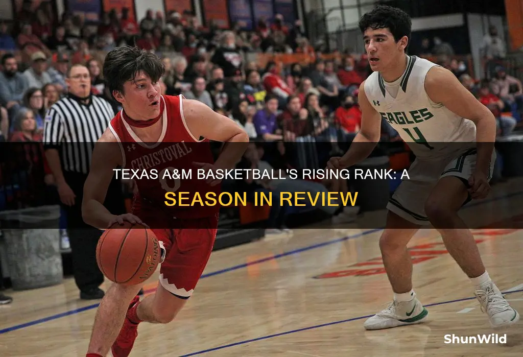 what is texas am basketball ranked